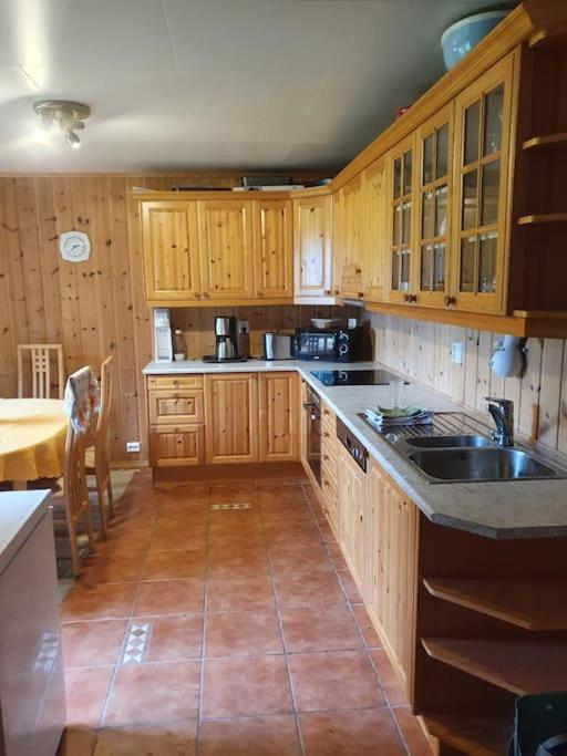 Vingvagen Hygge Og Ro Apartment Hitra
